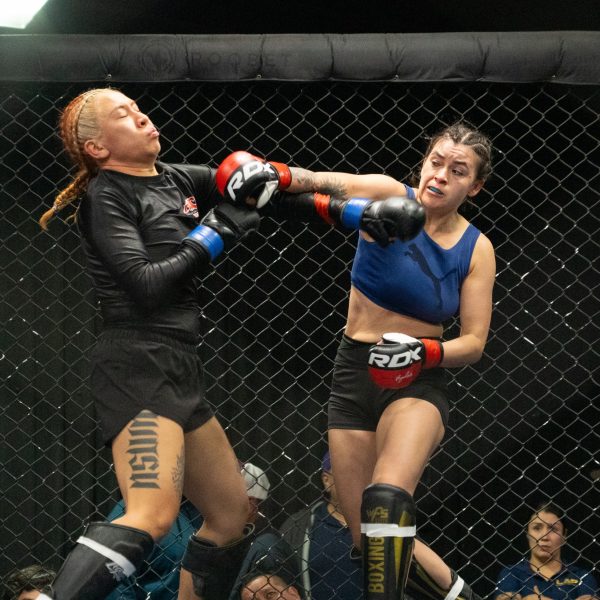 591990749_122138566328960930_5878188138935222310_n