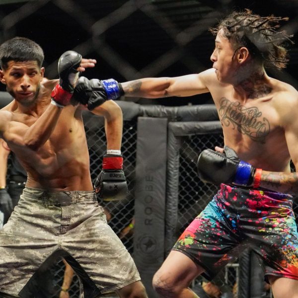 611296802_122144804168960930_4014043033518081754_n